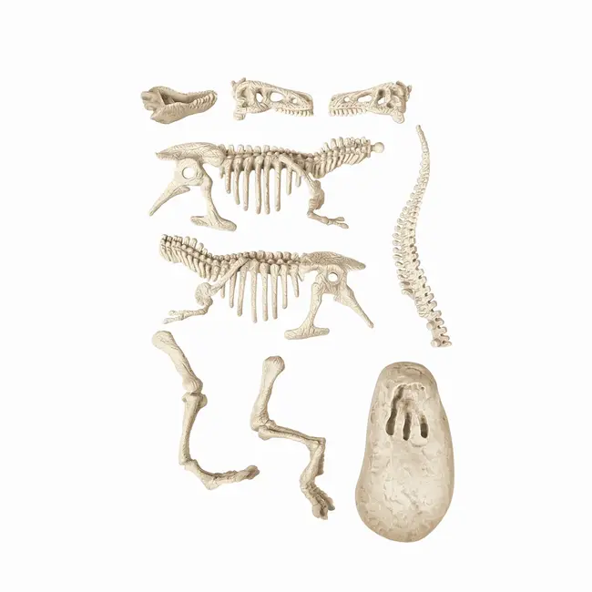 STIINTA SI JOACA DESCOPERA DINOZAURUL T-REX FLUO VIV1026-50908