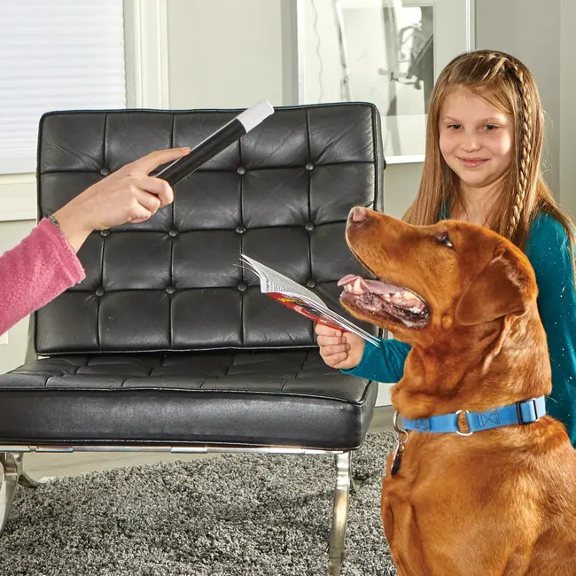 Set dresaj caini - trucuri magice