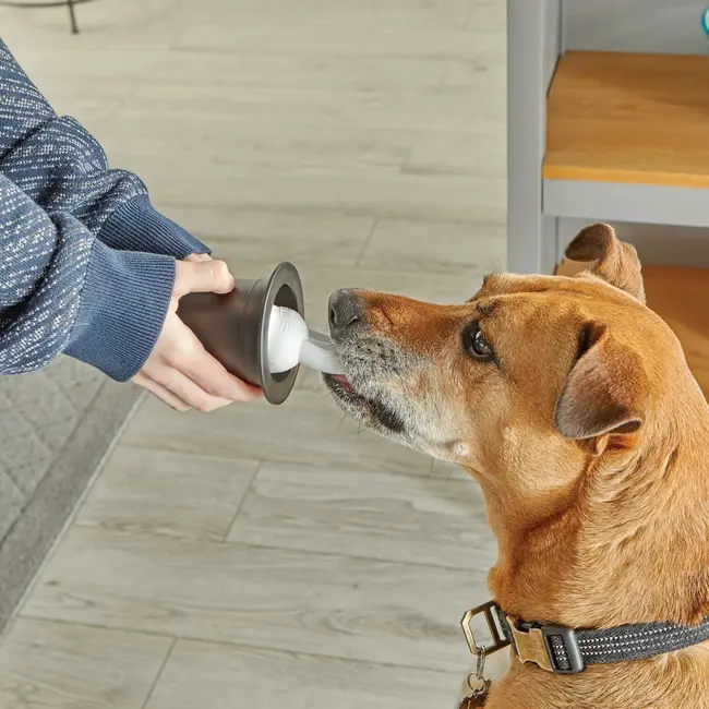 Set dresaj caini - trucuri magice