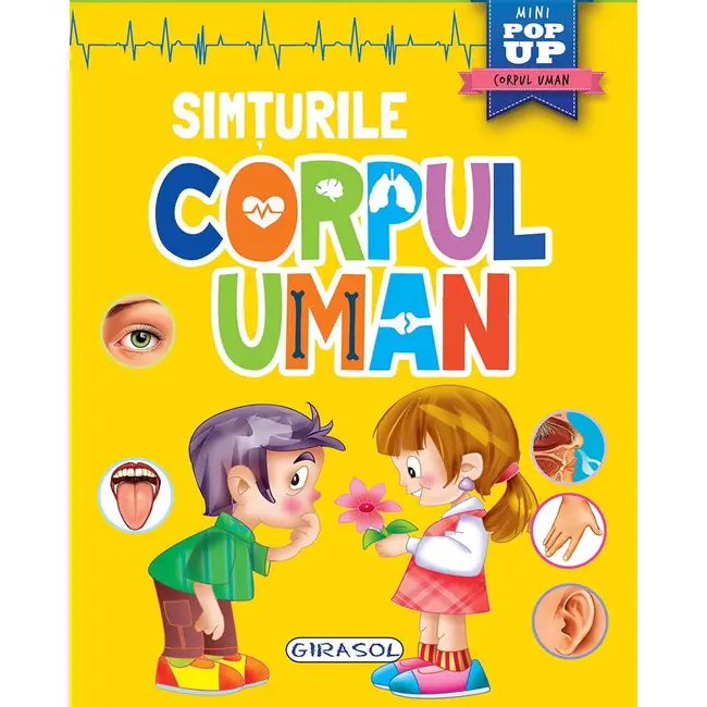 Corpul uman - simturile