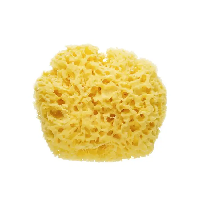 Burete Marin De Baie Natural, Premium Pjb964