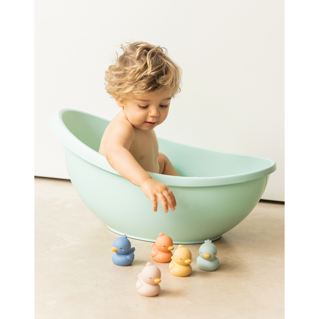 Set 5 Jucarii De Baie, Little Ducks Pjb369