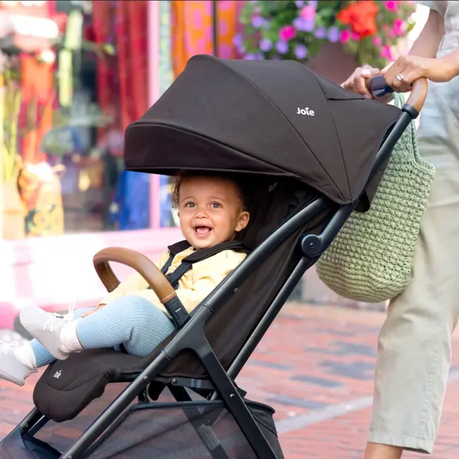 Joie - carucior pact pro shale  bbbs2308aasha000