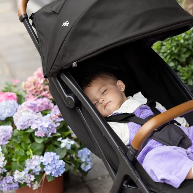Joie - carucior pact pro shale  bbbs2308aasha000