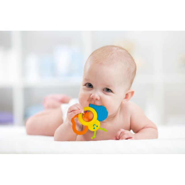 WINFUN ZORNAITOARE FLUTURAS CU JUCARIE DE DENTITIE VIVWin000183