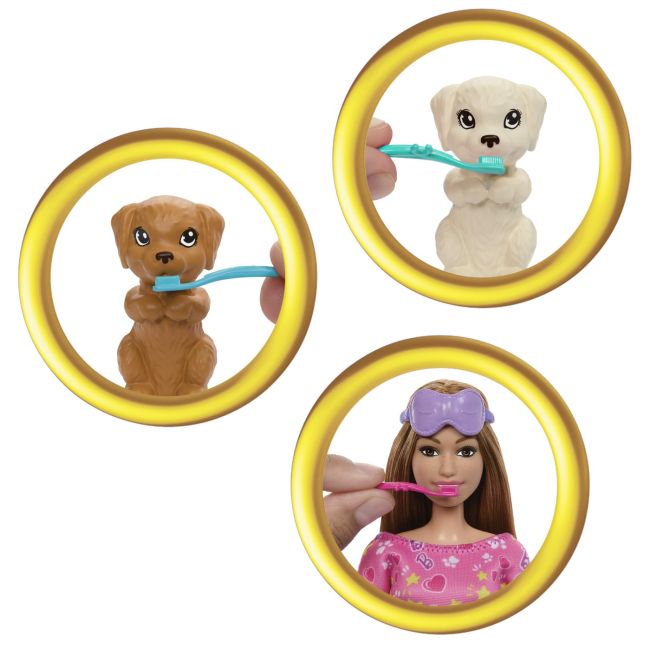 BARBIE PAPUSA BARBIE FAMILY SET PETRECERE CU 2 CATELUSI COLOR CHANGE VIVMTHXN01