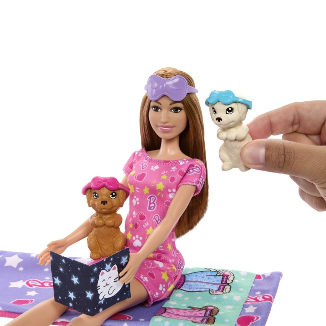 BARBIE PAPUSA BARBIE FAMILY SET PETRECERE CU 2 CATELUSI COLOR CHANGE VIVMTHXN01