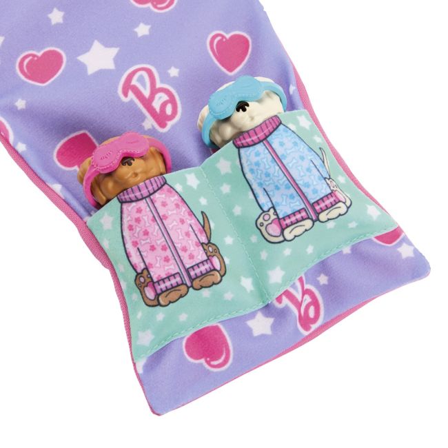 BARBIE PAPUSA BARBIE FAMILY SET PETRECERE CU 2 CATELUSI COLOR CHANGE VIVMTHXN01
