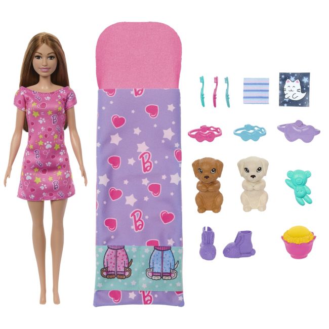 BARBIE PAPUSA BARBIE FAMILY SET PETRECERE CU 2 CATELUSI COLOR CHANGE VIVMTHXN01