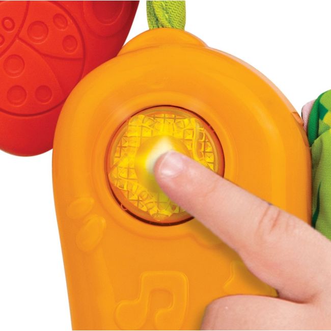 WINFUN CARTE SENZORIALA VIVWin230102