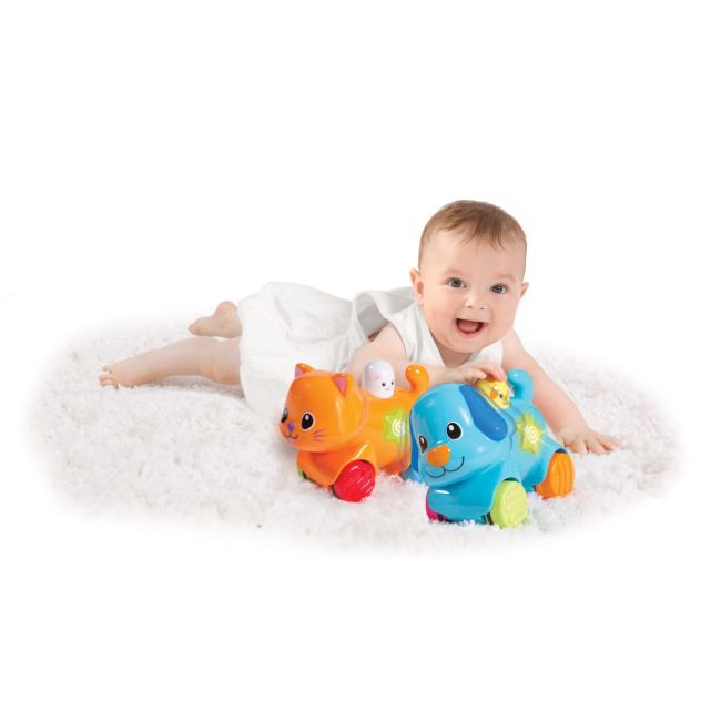 WINFUN CATELUS INTERACTIV VIVWin000733