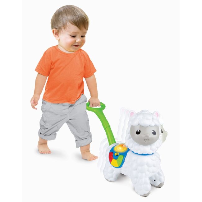 WINFUN JUCARIE DE IMPINS ALPACA VIVWin000757