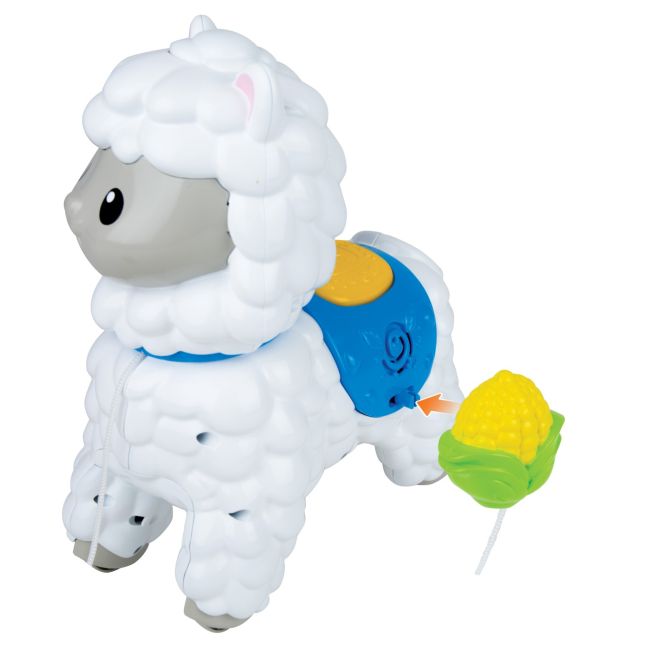 WINFUN JUCARIE DE IMPINS ALPACA VIVWin000757
