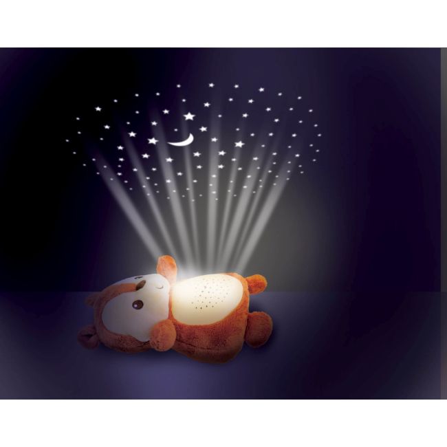 WINFUN PROIECTOR SI LAMPA DE VEGHE VEVERITA VIVWin000824