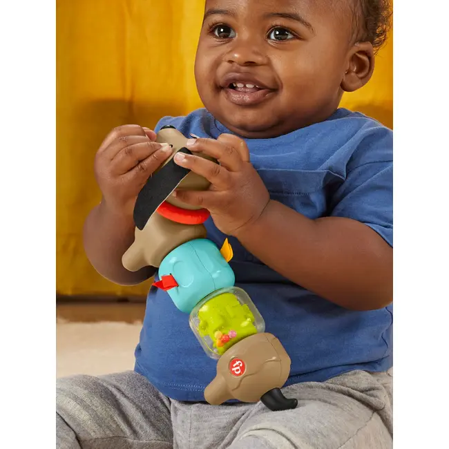 FISHER PRICE JUCARIE CATELUS DE ACTIVITATE PENTRU BEBELUSI CLICK AND SPIN VIVMTHTW91