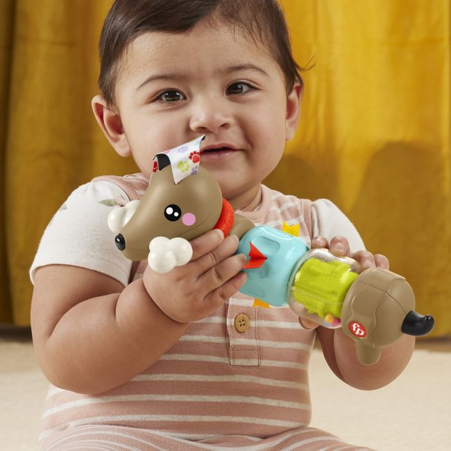 FISHER PRICE JUCARIE CATELUS DE ACTIVITATE PENTRU BEBELUSI CLICK AND SPIN VIVMTHTW91
