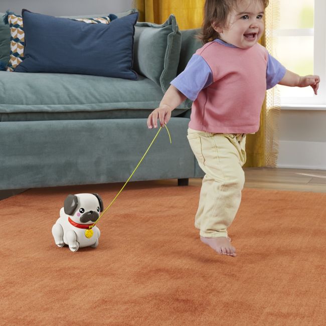 FISHER PRICE JUCARIE DE TRAS INTERACTIVA CATEL CU MISCARI SI SUNETE VIVMTHTW94