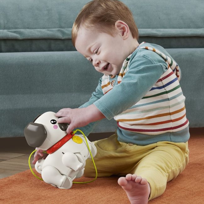 FISHER PRICE JUCARIE DE TRAS INTERACTIVA CATEL CU MISCARI SI SUNETE VIVMTHTW94