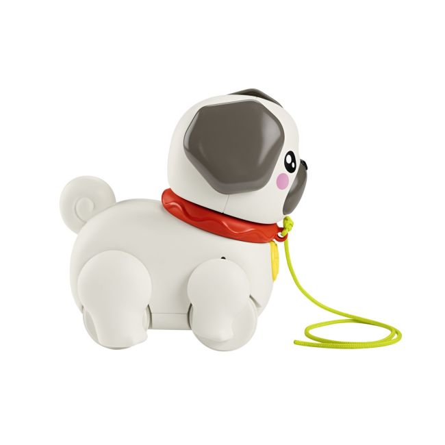 FISHER PRICE JUCARIE DE TRAS INTERACTIVA CATEL CU MISCARI SI SUNETE VIVMTHTW94