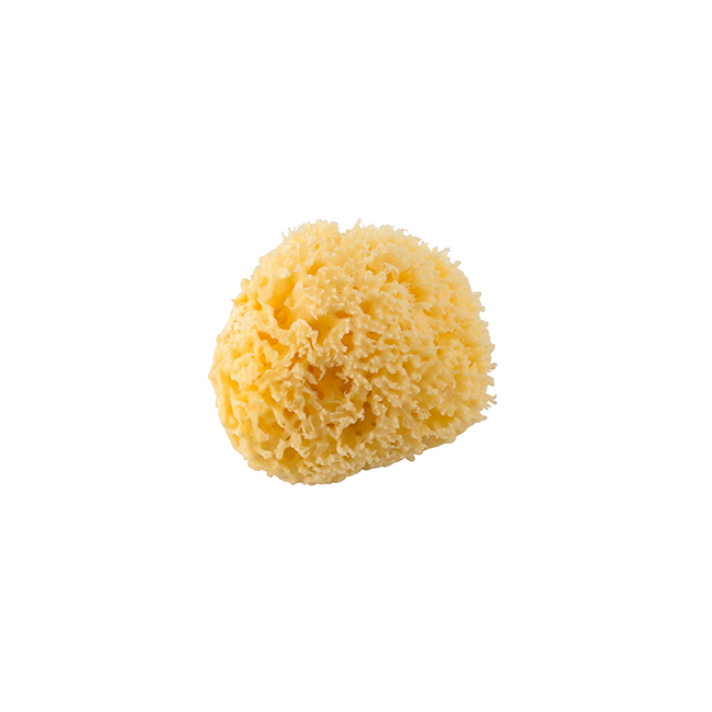 Burete natural pentru bebelus Rotho babydesign