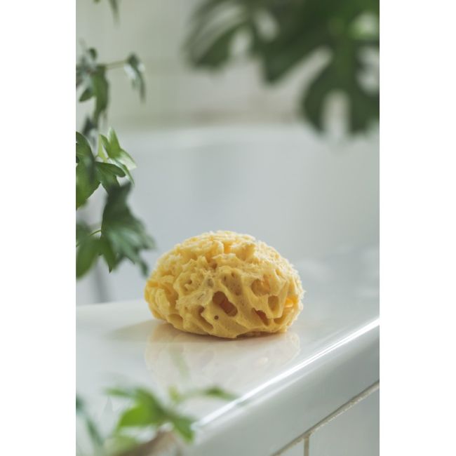 Burete natural pentru bebelus Rotho babydesign