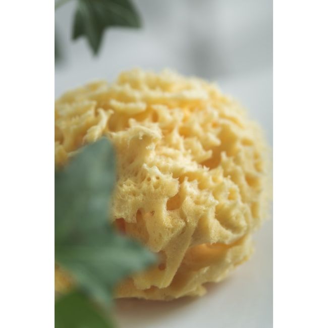 Burete natural pentru bebelus Rotho babydesign
