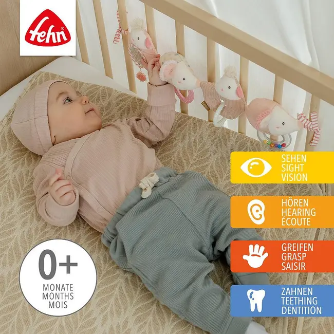 Jucarie carucior - taramul viselor