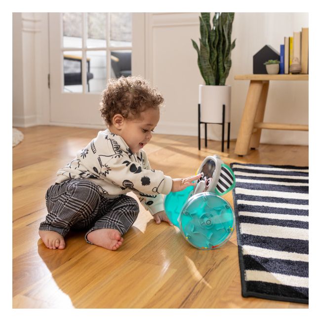 Baby einstein - jucarie interactiva, "chase & tap earl" bbb16923