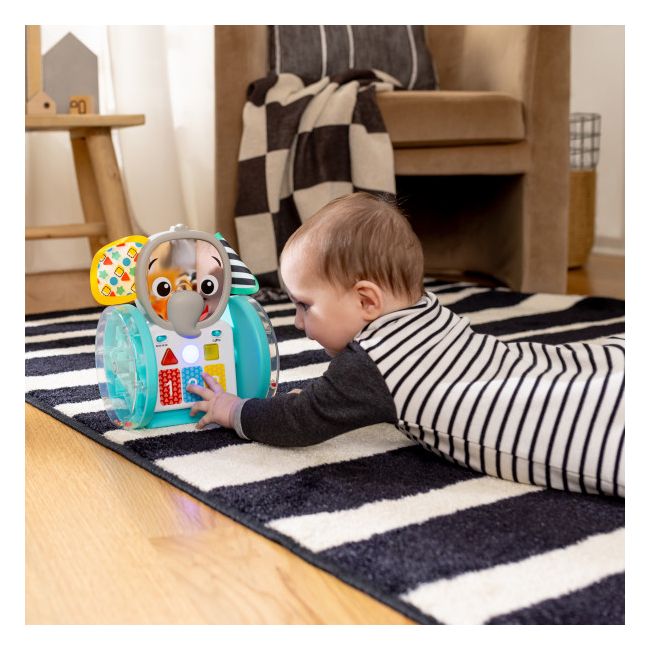 Baby einstein - jucarie interactiva, "chase & tap earl" bbb16923