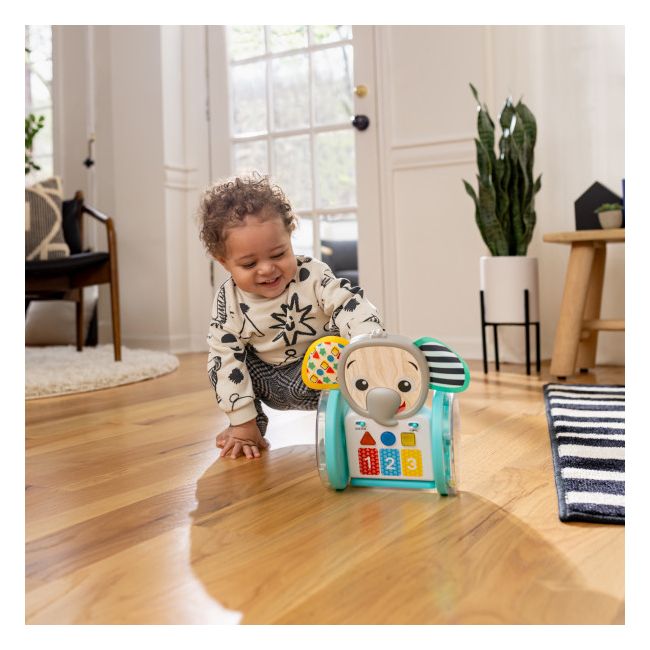 Baby einstein - jucarie interactiva, "chase & tap earl" bbb16923