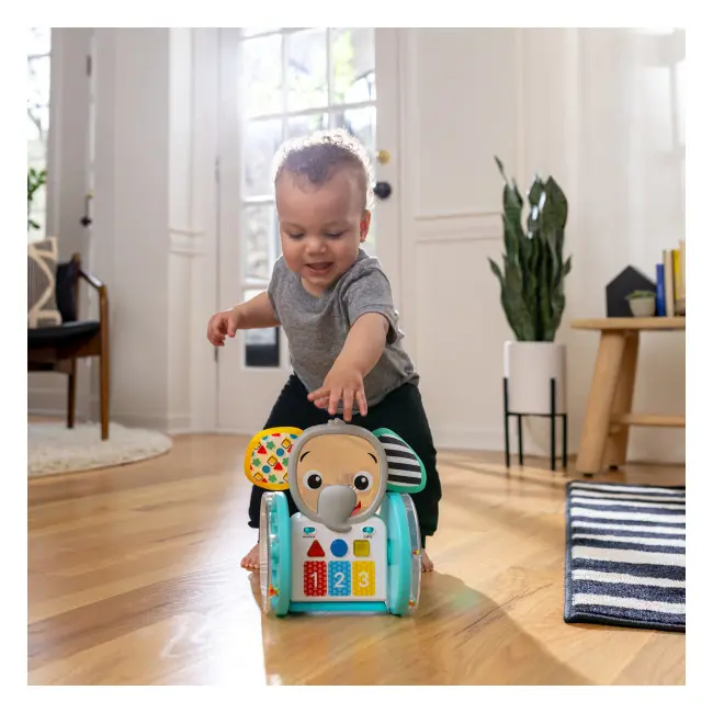 Baby einstein - jucarie interactiva, "chase & tap earl" bbb16923