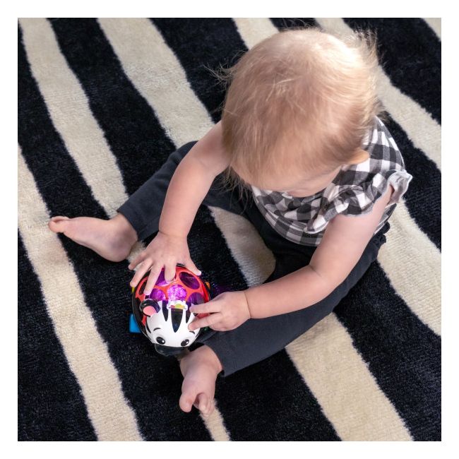 Baby einstein - masinuta zornaitoare "curious car zen oball" bbb16772
