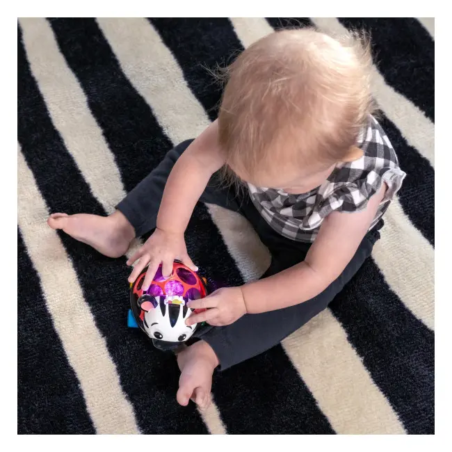 Baby einstein - masinuta zornaitoare "curious car zen oball" bbb16772