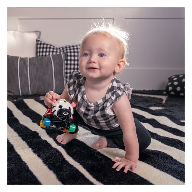 Baby einstein - masinuta zornaitoare "curious car zen oball" bbb16772