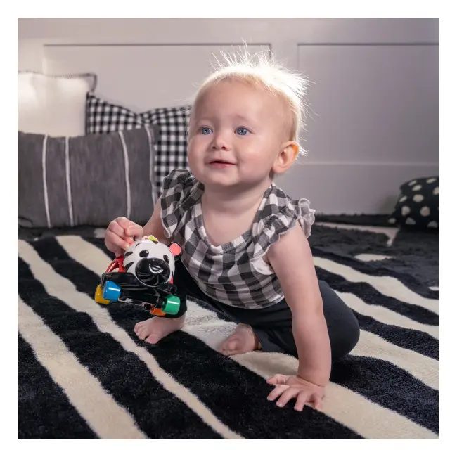 Baby einstein - masinuta zornaitoare "curious car zen oball" bbb16772