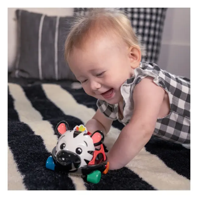 Baby einstein - masinuta zornaitoare "curious car zen oball" bbb16772