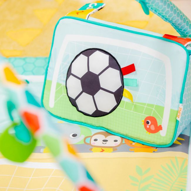 Bright starts - salteluta de activitati grip & kick oball bbb17165
