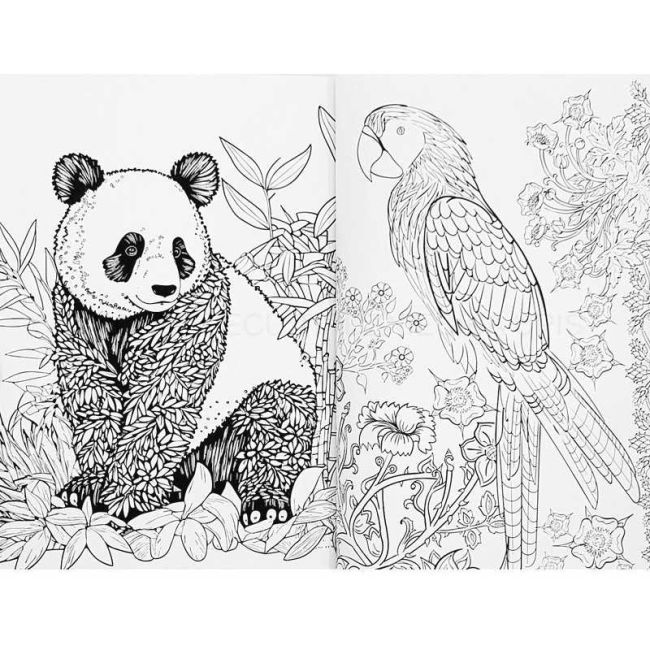 Carte de Colorat pentru Copii si Adulti - 72 Pagini, 20,5x15,7 cm Grafix GRCR5012-GE BBJGRCR5012-GE_Animale