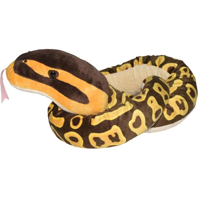 Sarpe ball python wr20728