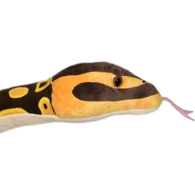 Sarpe ball python wr20728
