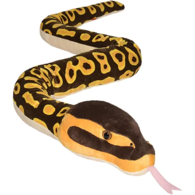 Sarpe ball python wr20728