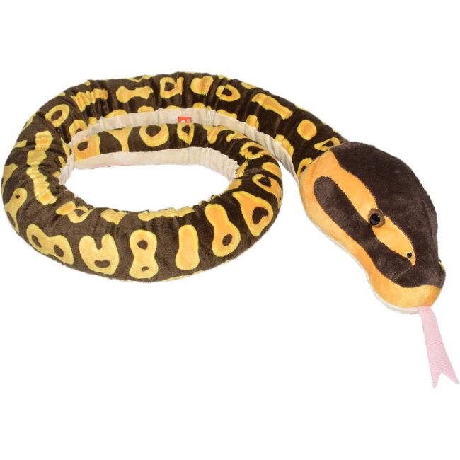 Sarpe ball python wr20728