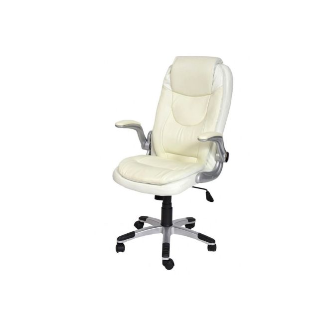 Scaun directorial gn29, cotiere rabatabile, piele ecologica, mecanism de balans, inaltime ajustabila, 95 kg drm2576