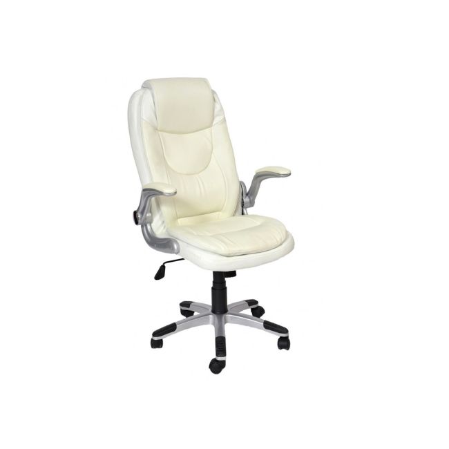 Scaun directorial gn29, cotiere rabatabile, piele ecologica, mecanism de balans, inaltime ajustabila, 95 kg drm2576