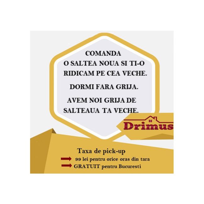 Set saltea clasic coral 180x200x19 plus pilota vara microfibra 200x220 drm3789
