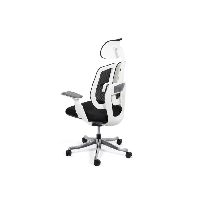 Scaun ergonomic multifunctional syyt 9505 drm9872