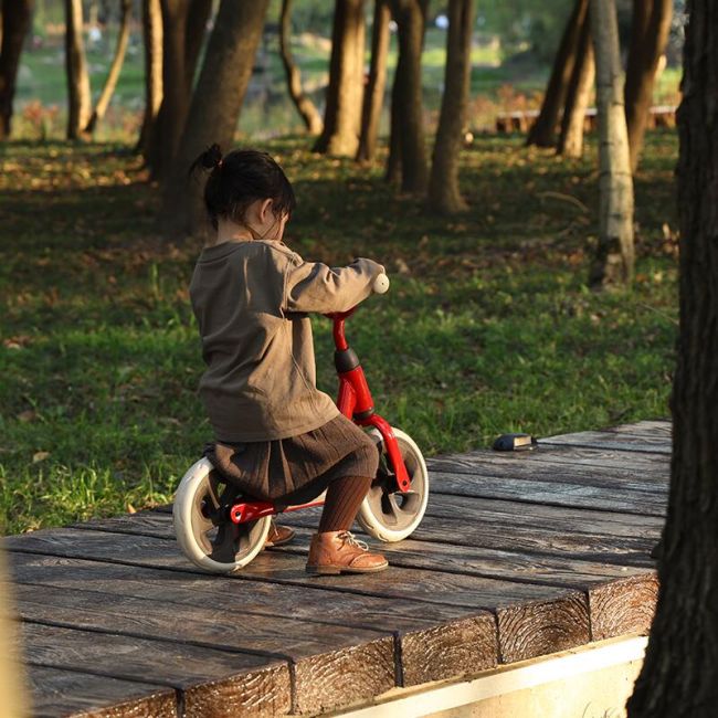 Balance bike qplay trainer rosu smb3240tra20