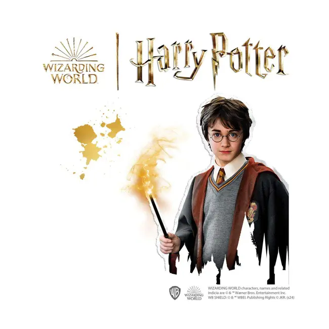 Set beedz-personaje harry potter sa09345