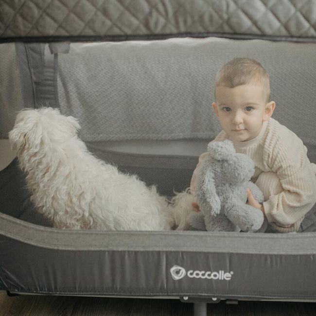 Patut co-sleeper coccolle insieme greystone smb322060162