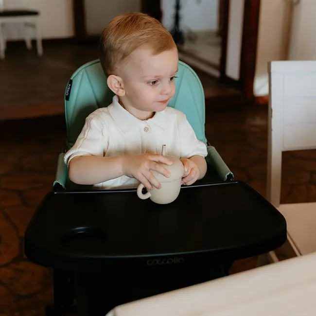 Scaun de luat masa coccolle miso greystone smb324088162